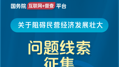 C逼视频大吉吧国务院“互联网+督查”平台公开征集阻碍民营经济发展壮大问题线索